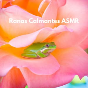 Ranas Calmantes ASMR - VIDA ASMR