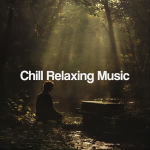 Chill Relaxing Music - Spa Music Relaxation Meditation