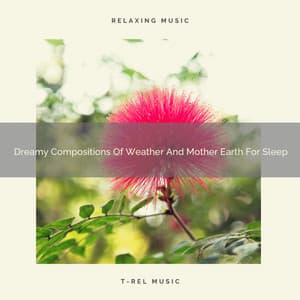 Dreamy Compositions Of Weather And Mother Earth For Sleep - Aquagirl