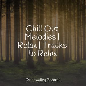 Chill Out Melodies | Relax | Tracks to Relax - Rain