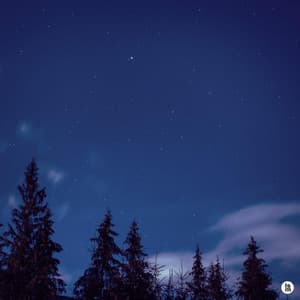 Starry Dawn - BGM Teacher