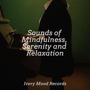 Sounds of Mindfulness, Serenity and Relaxation - Ivory Mood