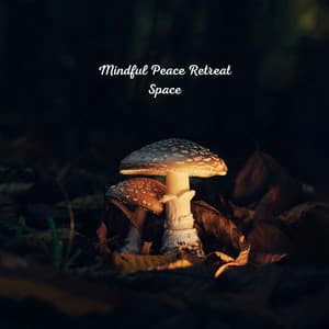 Mindful Peace Retreat Space - Música Relajante