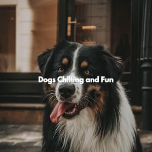 Dogs Chilling and Fun - Dog Sleeping Soundtracks Deluxe