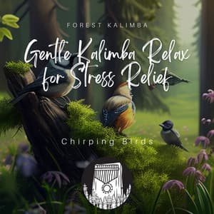 Gentle Kalimba Relax for Stress Relief, Chirping Birds - Forest Kalimba