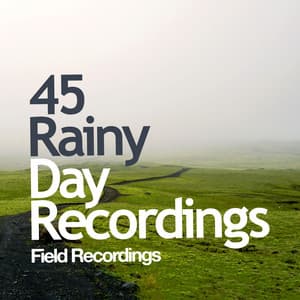 45 Rainy Day Recordings - Field Recordings