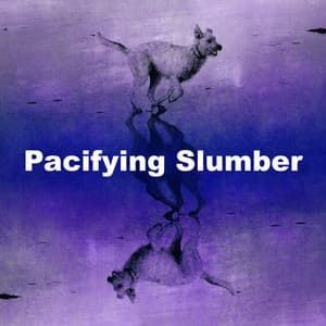 Pacifying Slumber - Dog Chill Out Music