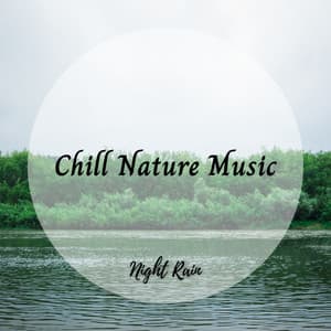 Night Rain: Chill Nature Music - Spa Music Playlist