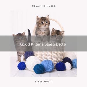 Good Kittens Sleep Better - Thiago Mascotas