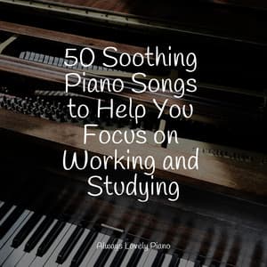 Chillout Sounds | Focused on Studying - Piano for Studying