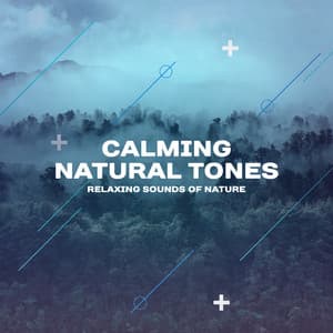 Calming Natural Tones - Relaxing Sounds Of Nature