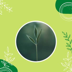 Feelings for Chill Afternoons - Instrumental Jazz Trio New York