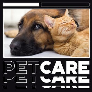 Pet Care - Nature Music for Relaxation and Wellness for Pets - Pet Love Academy