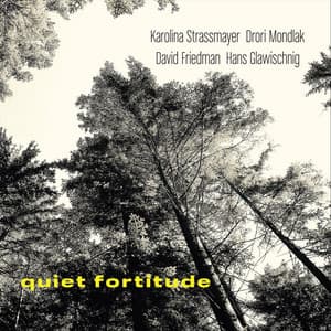 Quiet Fortitude - Drori Mondlak