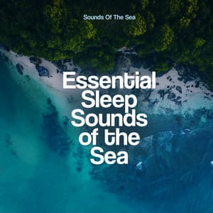 Essential Sleep Sounds of the Sea - Sounds Of The Sea