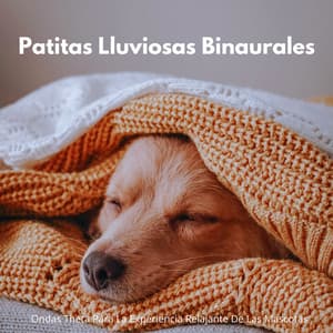 Patitas Lluviosas Binaurales: Ondas Theta Para La Experiencia Relajante De Las Mascotas - Explorador binaural
