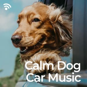 Calm Dog Car Music - The Dog Relaxer