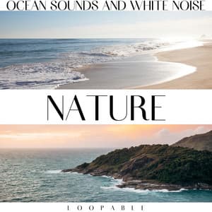 Nature: Ocean Sounds and White Noise, Loopable - Ocean Noise Channel