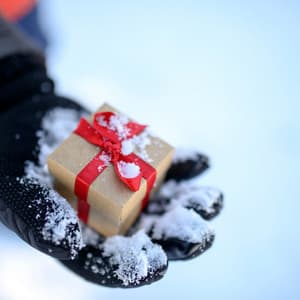 Frozen Box - Soothing Symphony