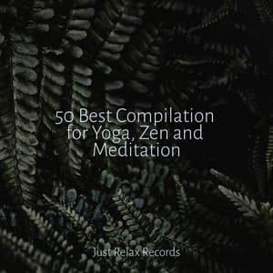50 Best Compilation for Yoga, Zen and Meditation - Rising Higher Meditation