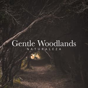 Gentle Woodlands - Naturaleza