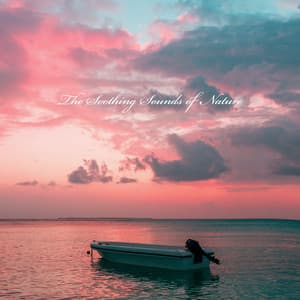 The Soothing Sounds of Nature: Meditation Morning Routine, Relaxation Zone Massage - Sweet Music Relaxation