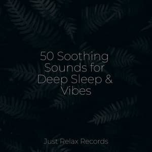 50 Soothing Sounds for Deep Sleep & Vibes - Instrumental