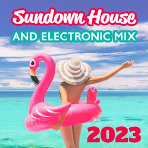 Sundown House and Electronic Mix 2023 - DJ Tzi-tzi