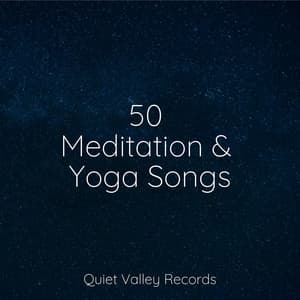 50 Meditation & Yoga Songs - A Sudden Rainstorm