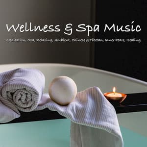 Wellness & Spa Music - Binaural Beats Central