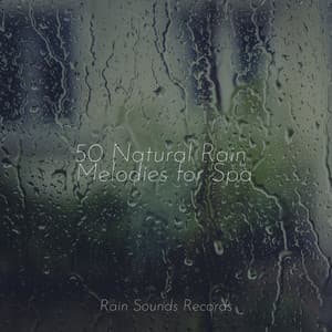50 Natural Rain Melodies for Spa - PowerThoughts Meditation Club