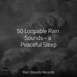 50 Loopable Rain Sounds - a Peaceful Sleep - Sonidos De Truenos y Lluvia