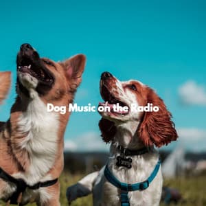 Dog Music on the Radio - Relaxing Coffee Shop