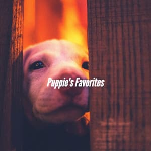 Puppie's Favorites - Doggy Relaxing Sounds
