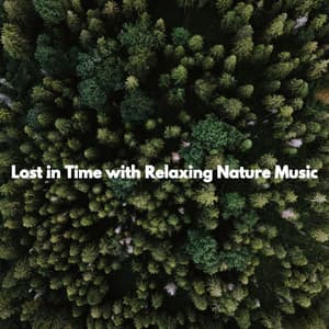 Lost in Time with Relaxing Nature Music - Music for Cooking
