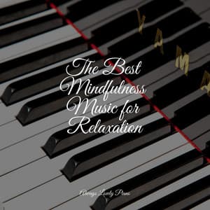 50 Tracks for Instant Relaxation - Tranquil Music Sound of Nature