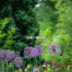 お庭の静けさ - Smooth Dinner Jazz Group