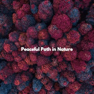 Peaceful Path in Nature - Relaxing Jazz