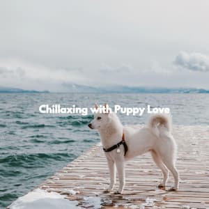 Chillaxing with Puppy Love - Dog Music Therapy