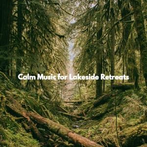 Calm Music for Lakeside Retreats - Co-Working Jazz Lounge