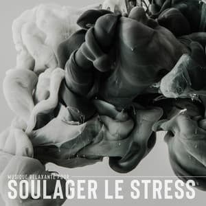 Musique relaxante pour soulager le stress: Musique instrumentale paisible - Zone de la Musique Relaxante