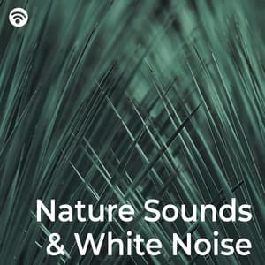 Nature Sounds & White Noise - La Naturaleza Del Sueño