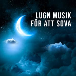 Lugn musik för att sova: Sömnlöshetsläkning, Sömn och meditation, Avslappningsövningar för stress - Lugn Musik Atmosfär