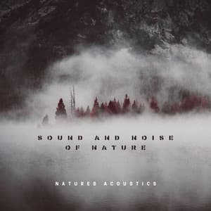 Nature Recordings - Natures Acoustics