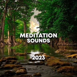 Meditation Sounds 2023 - Relaxing Chill Out Music