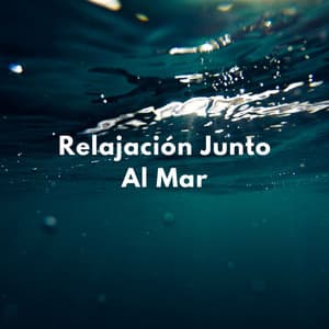 Calma En La Costa: Relajación Junto Al Mar - Zona de Música Sexual