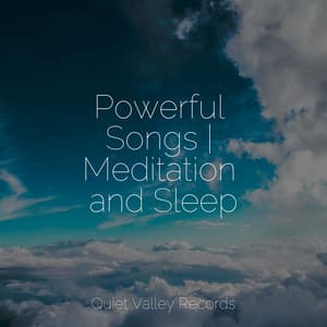 Powerful Songs | Meditation and Sleep - Relaxing Nature Ambience