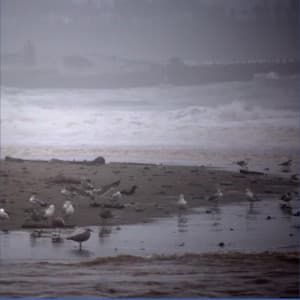 A Stormy Day at the Beach - White Noise Meditation Spa