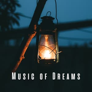 Music of Dreams: Serenade for Restful Sleep - Inside Rest
