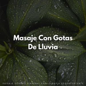 Masaje Con Gotas De Lluvia: Paisaje Sonoro Binaural Para Terapia Reconfortante - Maravilla de lluvia